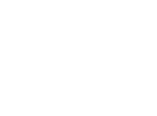 Made in USA White Icon Made in the USA Icon